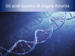 DNA E RNA - Di Giacomo