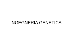 INGEGNERIA GENETICA
