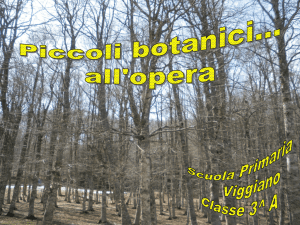 Diapositiva 1 - Istituto Comprensivo di Viggiano