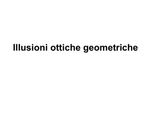 Illusioni Ottiche Geometriche