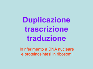 Duplicazione trascrizione traduzione
