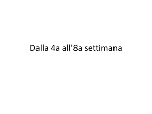Dalla 4a all`8a settimana