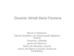 le rocce sedimentarie