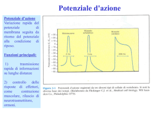 Presentazione di PowerPoint - quelli che il primo anno logo