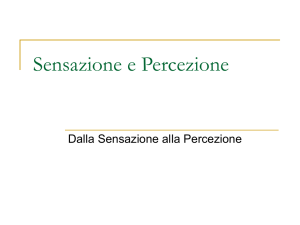 Sensazione e Percezione