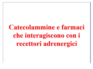 Diapositiva 1 - Controcampus