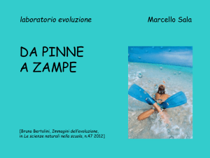 Presentazione di PowerPoint