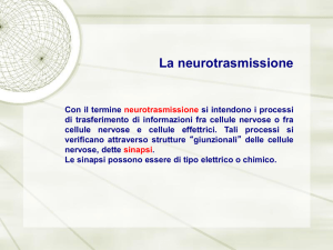 PowerPoint Presentation - Le Droghe