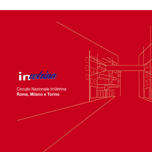 InVetrina. - Media Planning