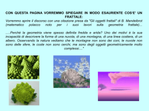 (matematico polacco noto per i suoi lavori sulla geometria frattale)
