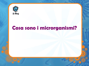 Introduzione ai microbi - e-Bug