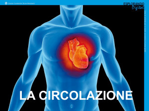 la circolazione