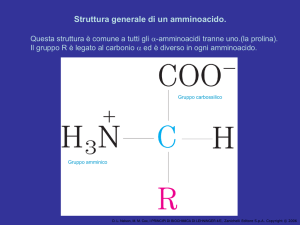 Stereoisomeria generale di un amminoacido. - FISIOTERAPIA
