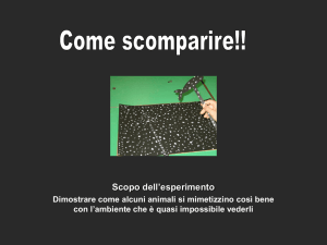 L`animale nascosto