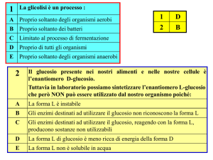 Presentazione di PowerPoint