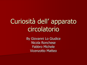 Curiosità dell` apparato circolatorio