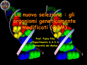 Nessun titolo diapositiva - Università degli Studi del Molise · UNIMOL