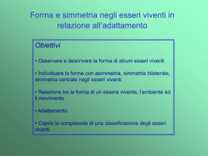 Presentazione di PowerPoint