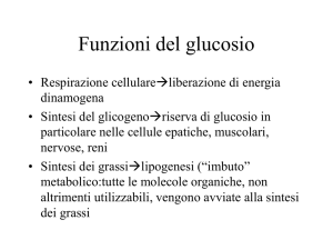 Apparato digerente Apparato respiratorio insulina