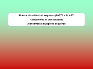 Allineamenti