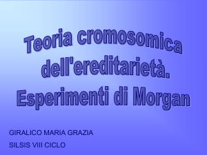 Presentazione di PowerPoint
