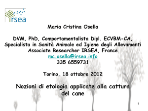 comportamento 1