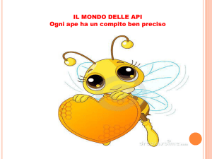 Le api