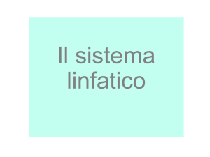Diapositiva 1 - Liceo Galileo Galilei