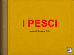 i pesci - WordPress.com