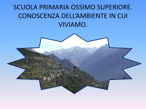 il bosco