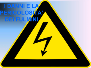 I DANNI E LA PERICOLOSITA` DEI FULMINI gabriele
