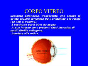 Anatomia della Cornea