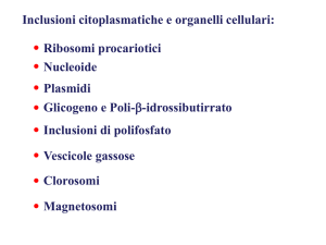Diapositiva 1