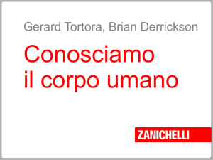 Presentazione di PowerPoint