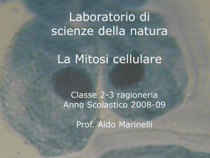 La mitosi - Centro Studi Arcadia