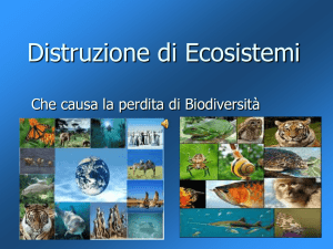Distruzione Ecosistemi e Perdita Biodiversità: Cause e Conseguenze