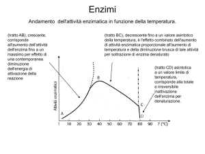 Enzimi - DUCA D`AOSTA