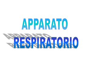 Diapositiva 1 - Eurekalbinea