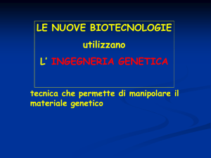 terminazioni adesive ENZIMI DI RESTRIZIONE