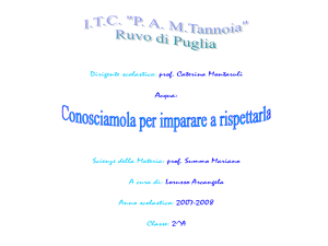 Il lavoro è stato suddiviso in 3 parti: Acqua…sorgente di vita