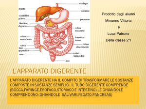 Diapositiva 1 - Istituto “Dell`Aquila”