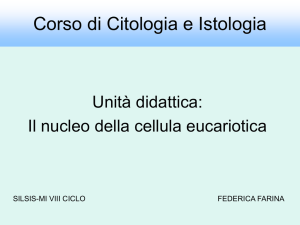 cellule cellula -mediante -numero -anche