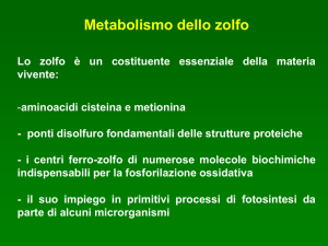 METABOLISMO_ZOLFO