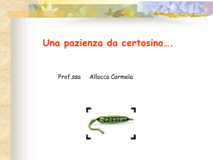 Mendel