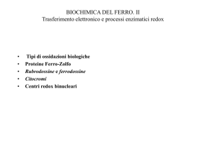 8 BIOCHIMICA DEL FERRO II
