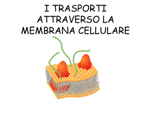 i trasporti atraverso la membrana cellulare