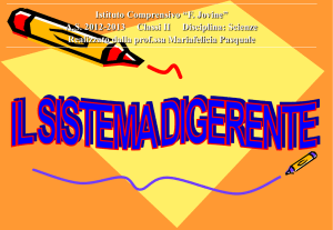 La digestione - Omnisantacroce