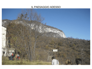 il paesaggio adesso - Osservatorio Canale di Brenta