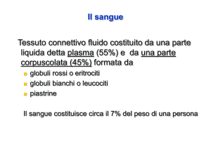 Il sangue - I.C. Ferrari Pontremoli