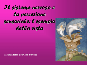 percezione sensoriale vista